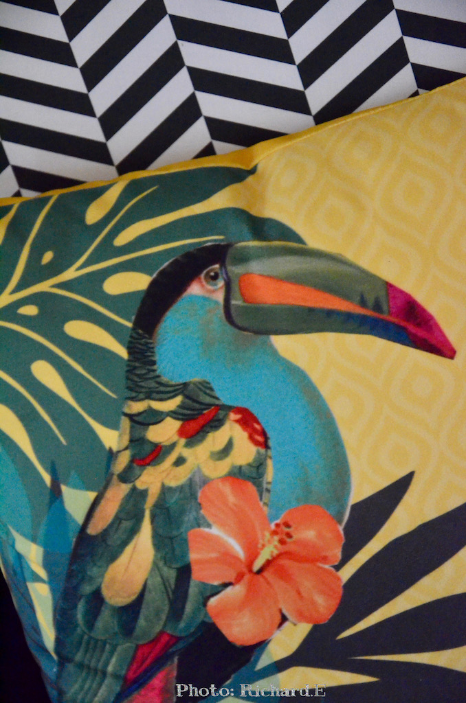 Coussin toucan hannah elizabeth interior design